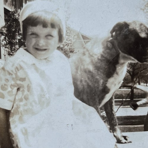 Lot 3 BRINDLE HOUND DOG w/ LITTLE GIRL Chicago IL BUNGALOW PORCH STOOP VTG Photo - Picture 5 of 10