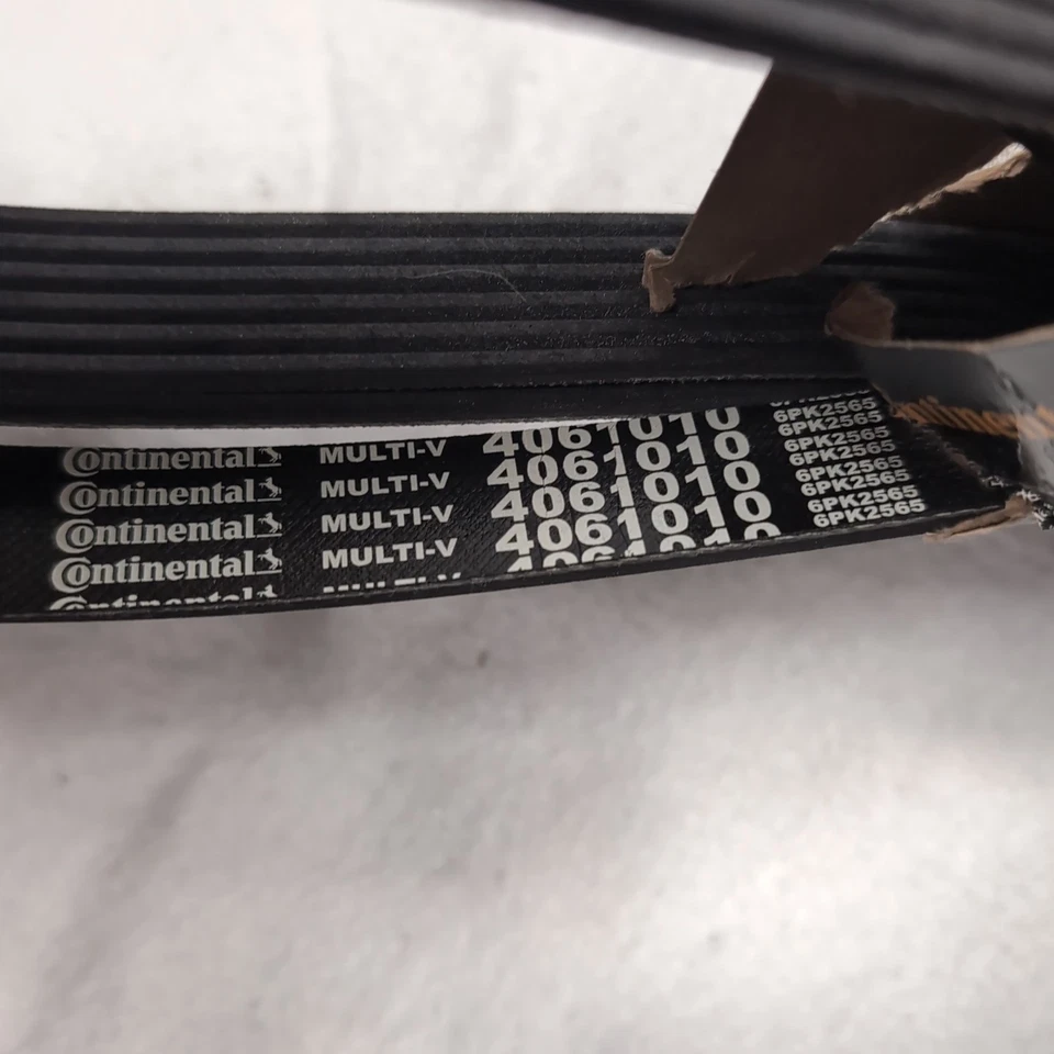 Cinturón Continental Ag Multi V 4061010 Automotive OE Technology Series  Foto 4 de 4