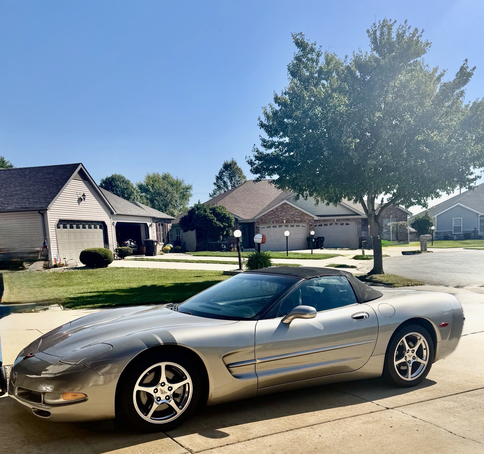 1998 Chevrolet Corvette for sale in Lowell Indiana