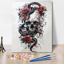 Paint by Numbers for Adults - DIY Adult Paint by Number Kits on Canvas Skull wit
