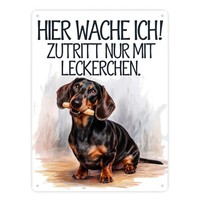 Zutritt Nur Mit Leckerchen Metallschild XXL In 28X38 Cm Dackel