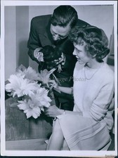 1944 Henry Rooster Je Jacobs Jean Trevelier Bouquets Feathers Animals 6X8 Photo