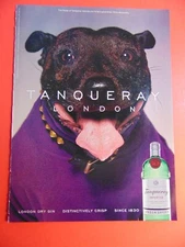 1999 TANQUERAY LONDON DRY GIN Dog photo art print ad