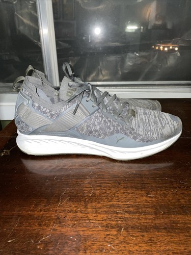 PUMA Ignite Evoknit Low Gray | eBay