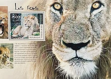 TOGO LIONS STAMP SOUVENIR SHEET 2014 MNH WILDCAT WILD ANIMALS WILDLIFE FAUNA