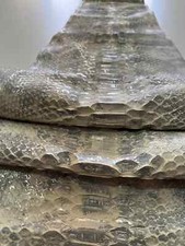 Genuine snake leather, real python snake hide with silver touches, long and wide