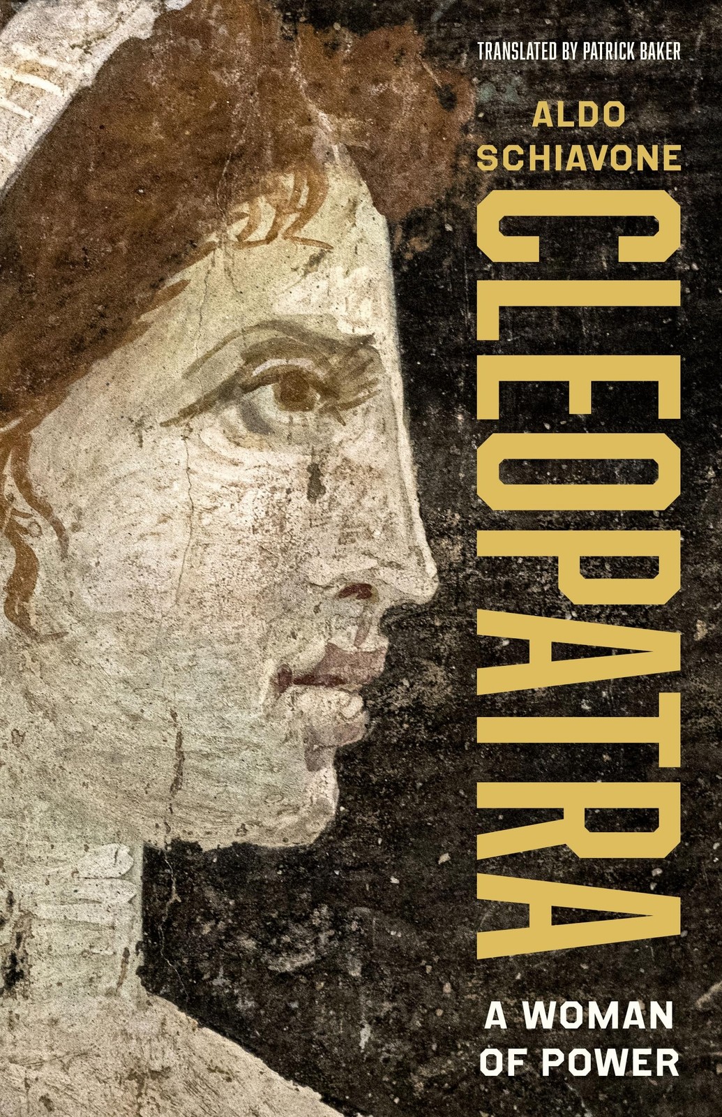 Cleopatra : A Woman Of Power Aldo Schiavone - Image 2