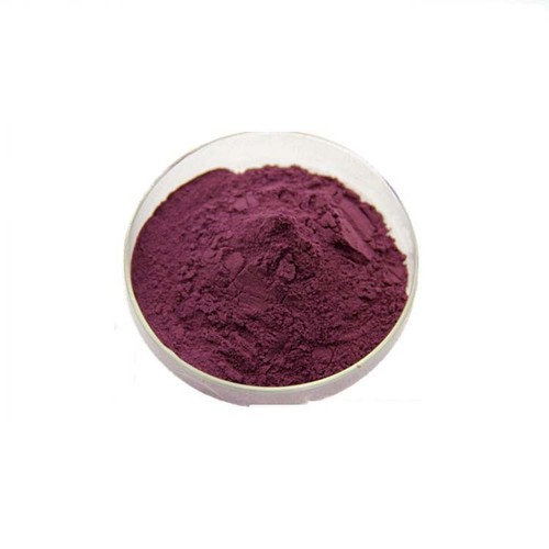 200g Bilberry Fruit Powder 41 Extract 4x Stronger Antioxident
