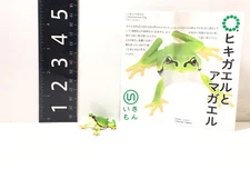 Nature Techni Colour Japanese Tree Frog Magnet Animal Figure