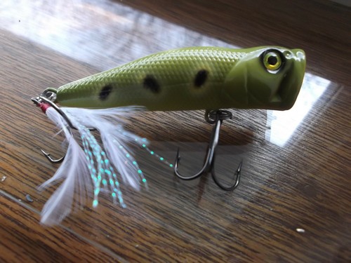 Lurehoor S Custom Painted Deps Popper Pulsecod Replica Popper Japan Frog Ebay