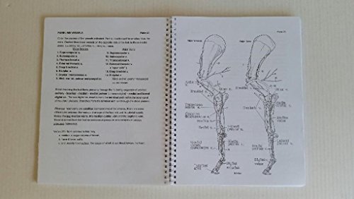 Horse Anatomy: A Coloring Atlas, 2nd Edition 9781577790211 | eBay