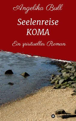 Angelika Bull | Seelenreise KOMA | Taschenbuch | Deutsch (2016) | 240 S.