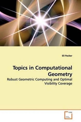 Topics in Computational Geometry: Robust Geometric Computing and Optimal Visibil