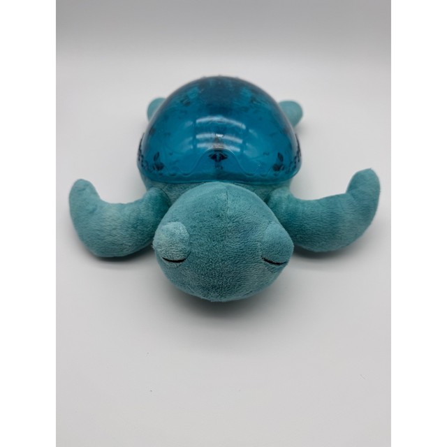 Cloud b Tranquil Turtle