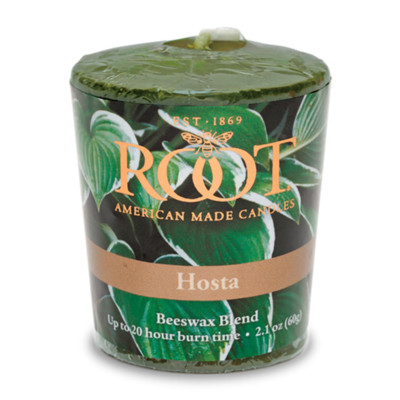 Root 20-Hour Votive Candles, Hosta - Set of 4 (1572)