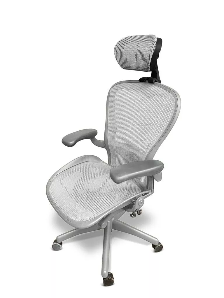 Herman Miller Aeron Chair Classic Sz B Titanium Fully Loaded w/Matching Headrest