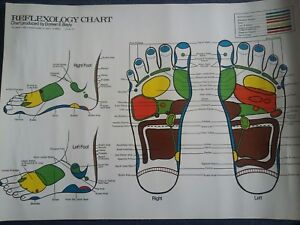 Reflexology Wall Chart Posters