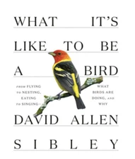 What It's Like to be a Bird by David Allen Sibley: (0307957896)