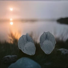 Forest Pine Rabbits Bamboo Charcoal Soap - Ohio Valley Soap