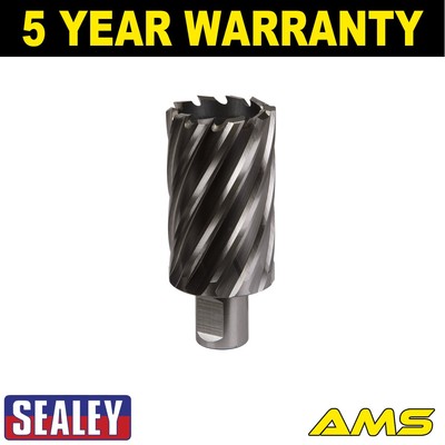 Sealey Worksafe �� 38 mm HSS Mag Bohrer Schnitttiefe 50 mm RBHSS38L