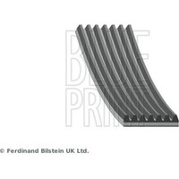 Blue Print AD07R1675 Keilrippenriemen FüR Renault Opel Fiat Talisman Master JV