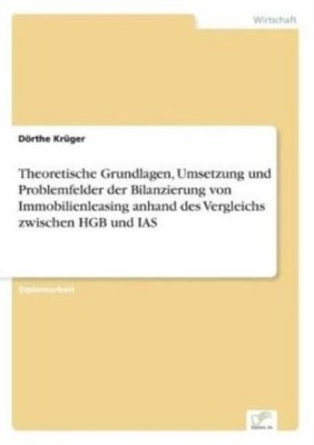 Theoretische Grundlagen, Umsetzung Und Problemfelder Der Bilanzierung Von I...
