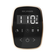 Mr Steam TF Tempoflex Steam Shower Control and Steamhead - Black / Polished Gold