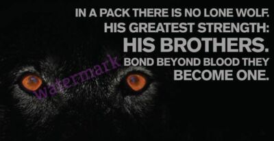 ''IN A PACK THERE IS NO LONE WOLF. HIS ...'' MOTIVATIONAL QUOTE PUBLICITY PHOTO