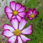 Bild 6 von 7