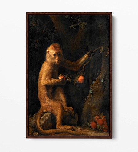GEORGE STUBBS, A MONKEY - EFECTO FLOTANTE LONA IMPRESIÓN ARTÍSTICA DE PARED - Imagen 6 de 12