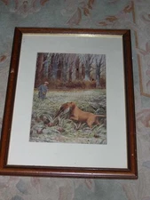 LARGE COLOUR ANTIQUE GOLDEN RETRIEVER DOG PICTURE 1920 WARD BINKS GUNDOG