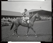 Jockey Eddie Arcaro Riding Battlefield In 1950 Horse Racing Old Photo