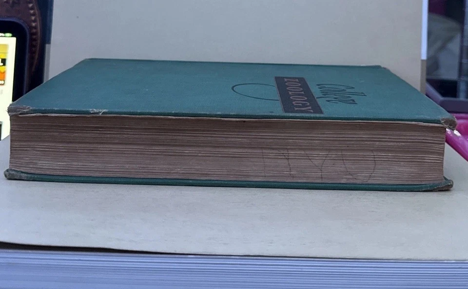 College Zoology- By Robert W. Hegner - Bild 2 von 4