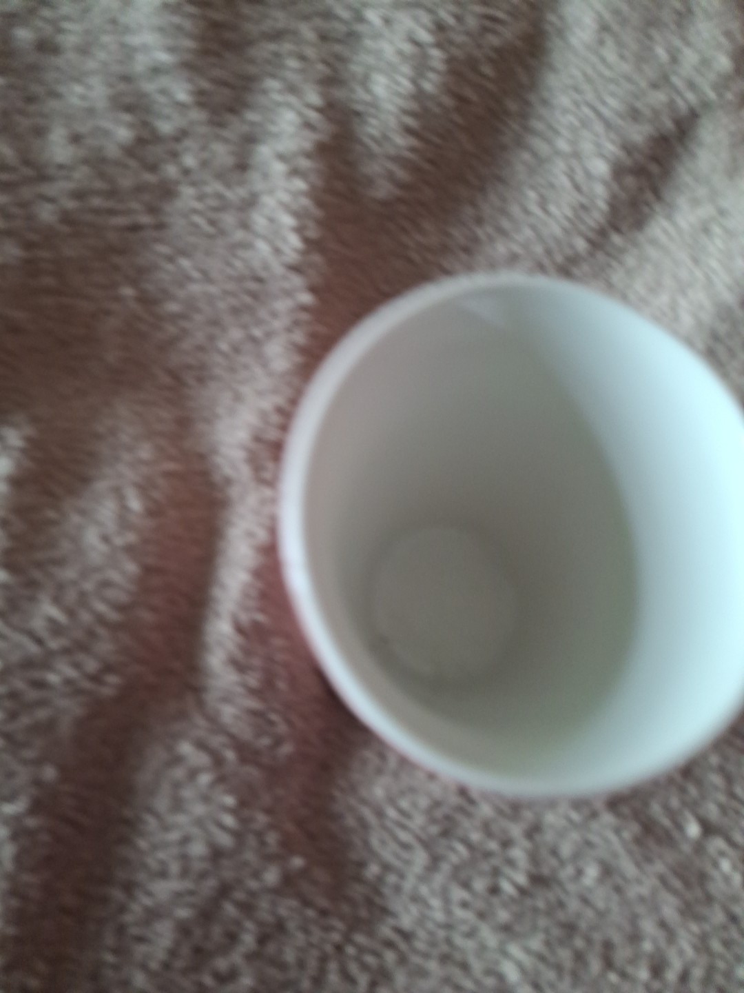 Picture 6 of 8