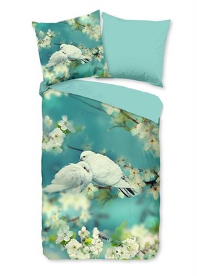 Good Morning Renforcé Bettwäsche 155 X 220 cm + 1- 80 X 80 cm Loving wite doves 
