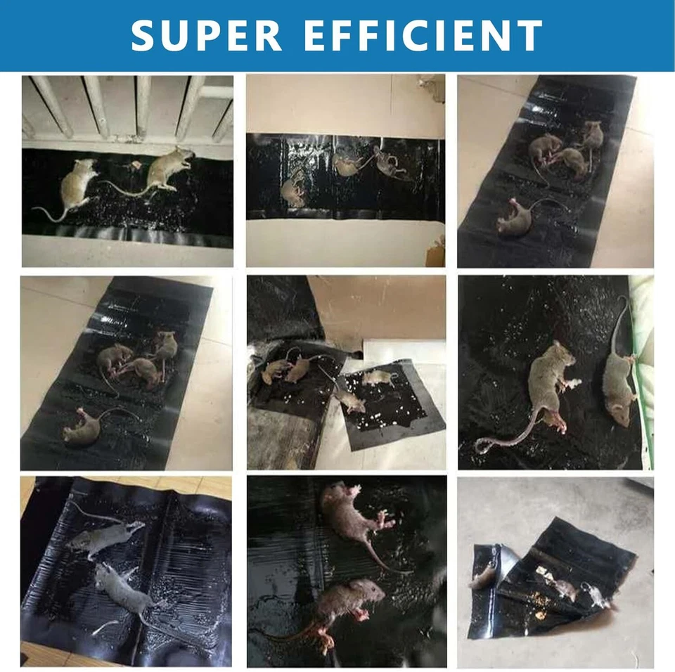 Paquete de 4 trampas de pegamento para ratones 24 x 11 pulgadas antideslizantes rata serpiente roedor almohadillas adhesivas mascota Foto 4 de 4