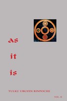 As It Is, Volume II Tulku Urgyen Rinpoche Taschenbuch Kartoniert / Broschiert