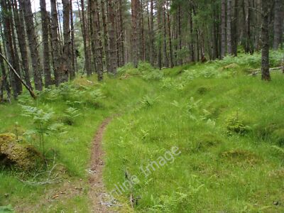 Foto 12x8 Weg hinauf Cnoc a' Bhuachaille durch Kiefernwald Drumnadro c2011