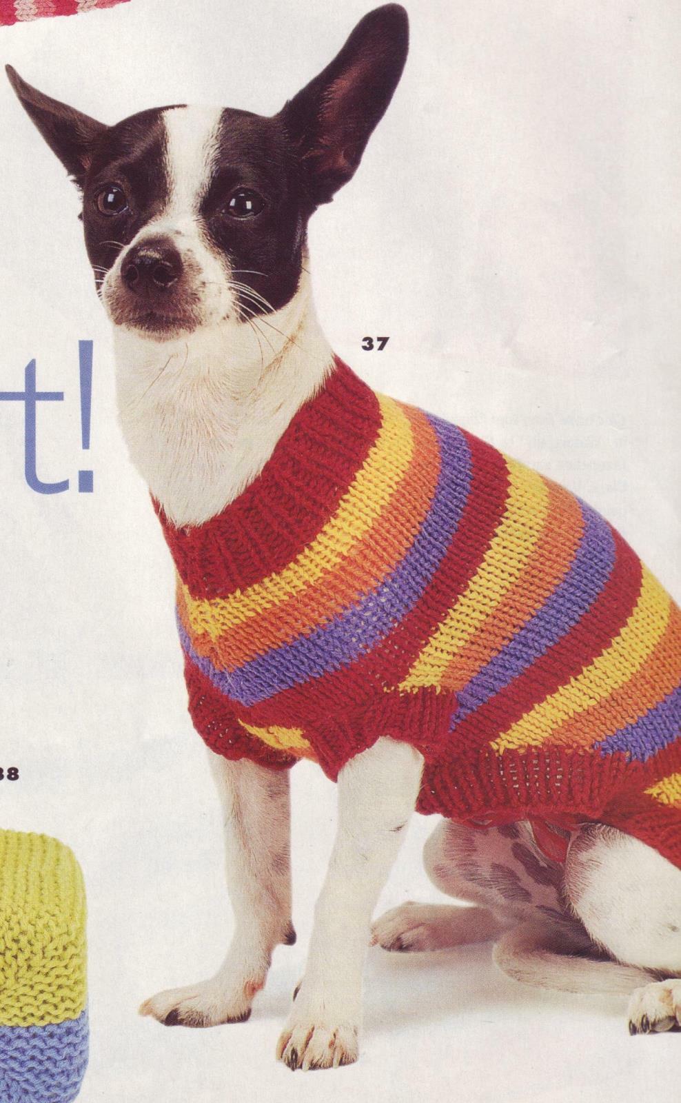 Striped Doggy Dog Sweater Knitting 
