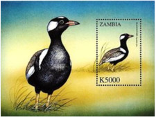 Zambia #MiBl80 MNH S/S 2000 Korhaan Bustard [902]
