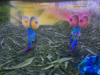 ark survival ascended pve Gloon High Level Pair