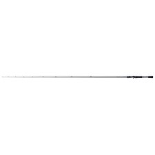 Shimano Curado (Casting)