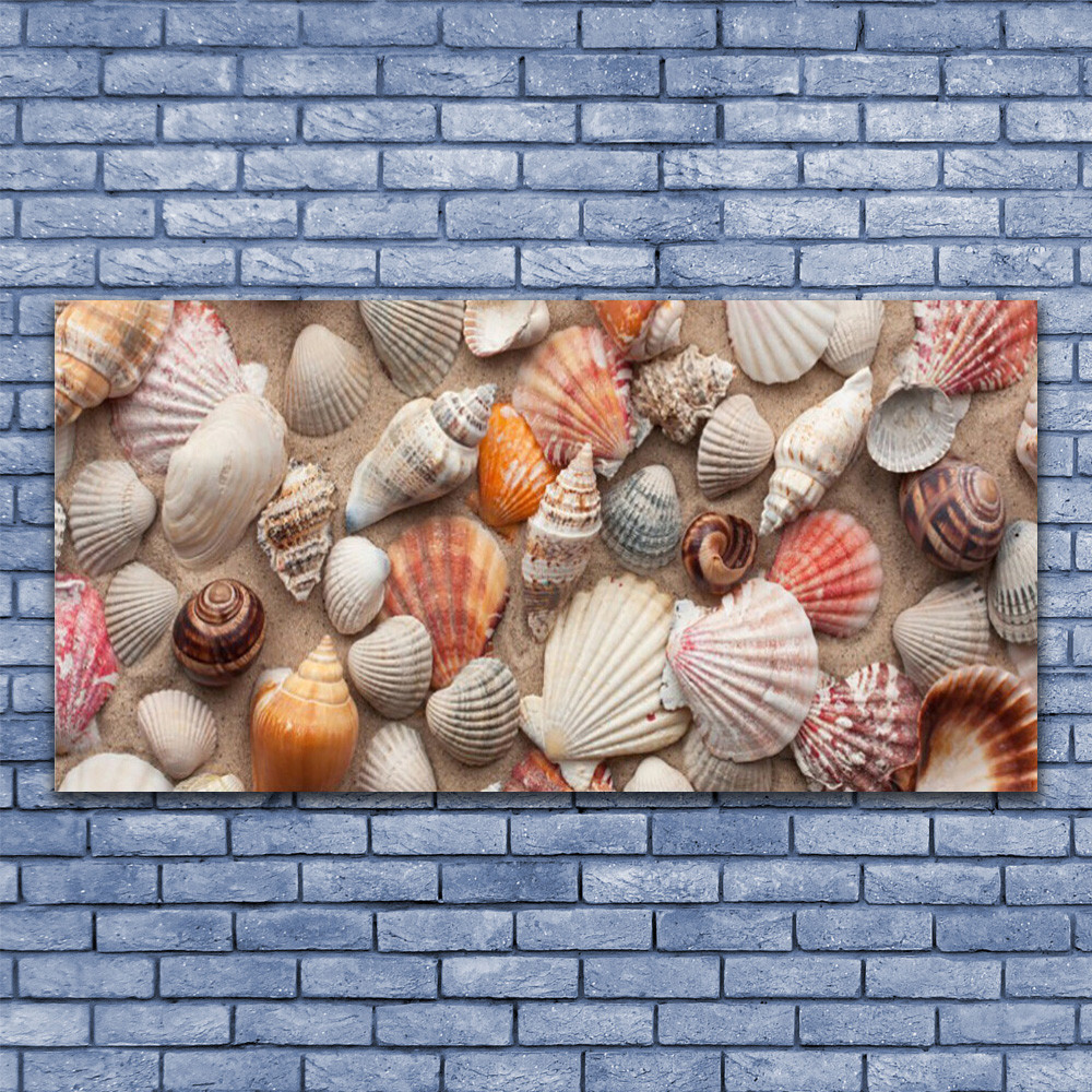 Tableau sous verre coquillages 140x70 cm pour décoration de salon