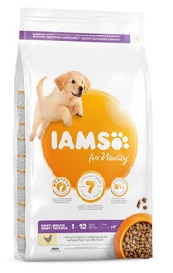 iams large puppy