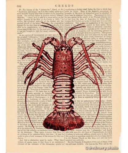 Regalos de decoración colgante de cocina colgante de cocina de cangrejo rojo impreso en página de libro vintage - Imagen 2 de 3