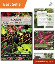 Non-GMO Coleus Seeds - 800 Pack for Indoor/Outdoor Gardening, Easy