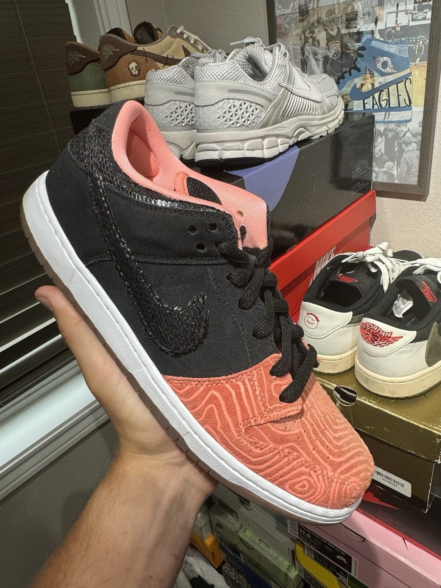 Size 11 .5 - Nike Premier x Dunk Pro SB Low Fish Ladder  display picture 1