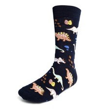 Jurassic Dinosaur Socks Novelty Funny Socks Crazy Dinosaur Fun Crazy Cool Dino