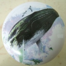Cabinet Knobs Knob w/ Whale Humpback Sperm