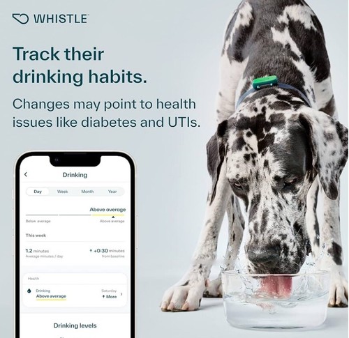 Whistle Health Smart Device Dog Pet Health and Fitness Activity Tracker Monitor - 第 4/7 張圖片